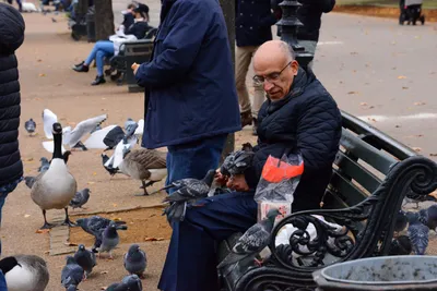 DSC_0656 (Large).JPG